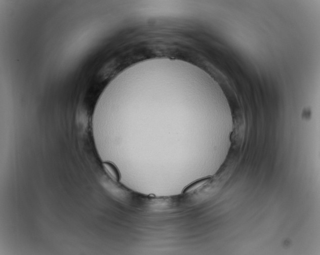 X0000100950574200807221124