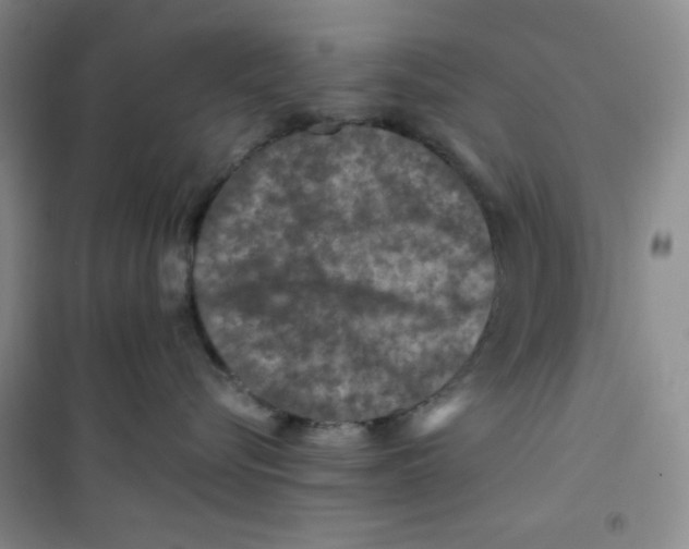 X0000100950576200807221124