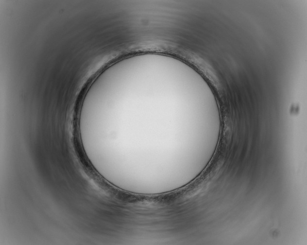 X0000100950578200807221123