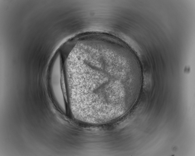 X0000100950580200807221123