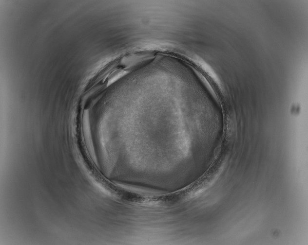 X0000100950581200807221123