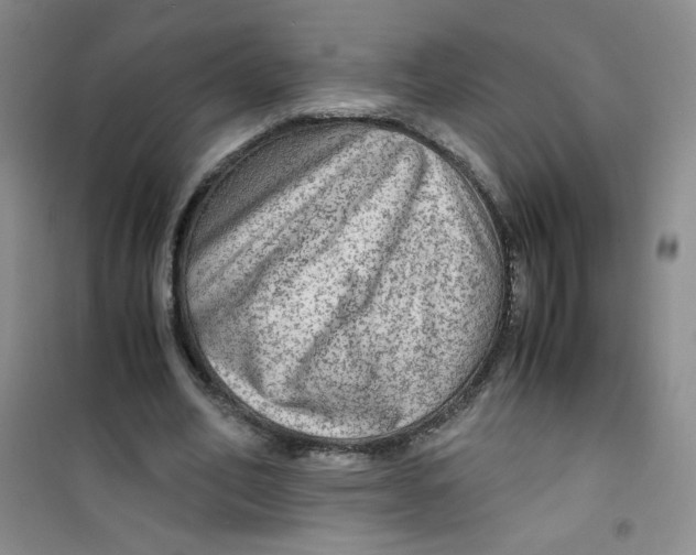 X0000100950582200807221123