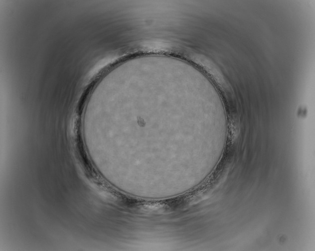 X0000100950583200807221123