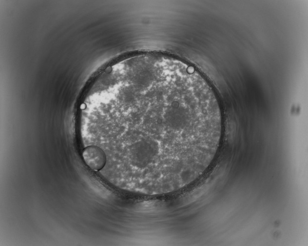 X0000100950584200807221123