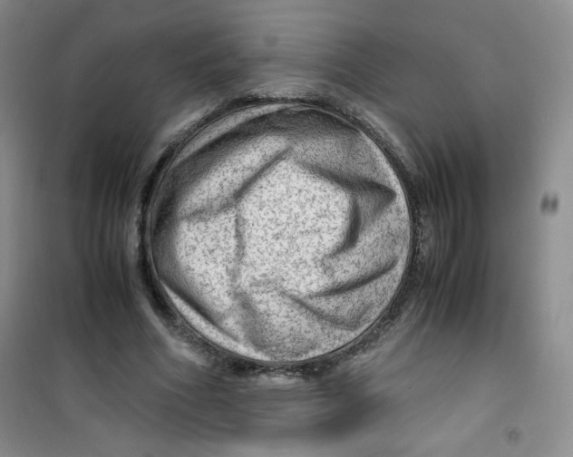 X0000100950586200807221123