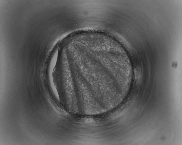 X0000100950588200807221123