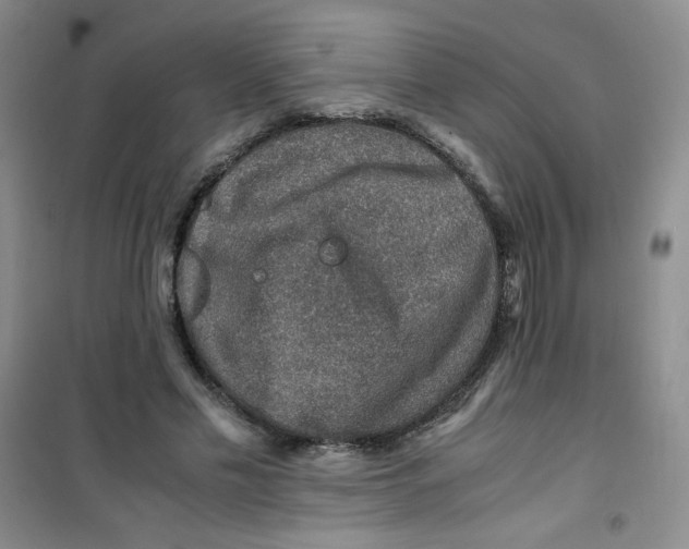 X0000100950589200807221123