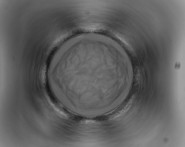 X0000100950590200807221123