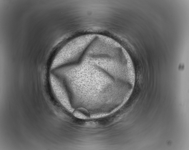 X0000100950591200807221123