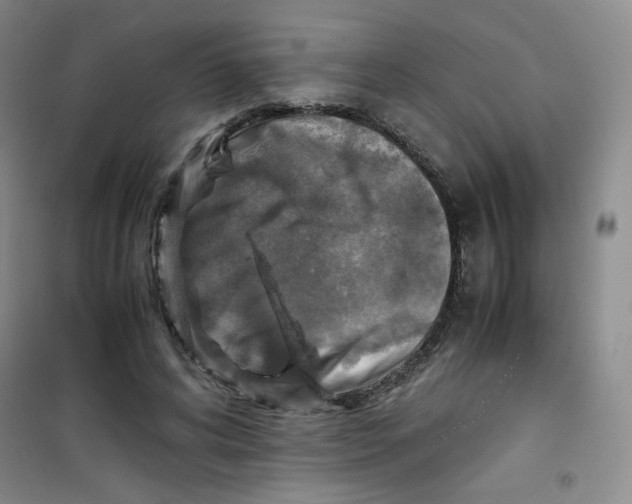 X0000100950592200807221123