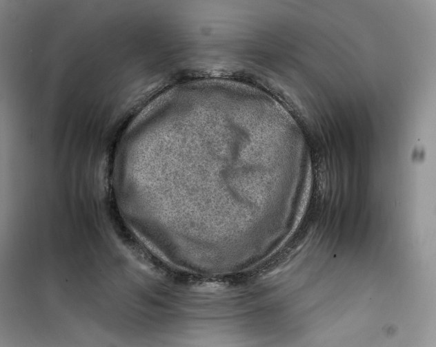 X0000100950594200807221123