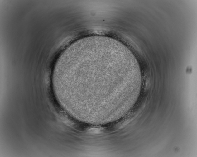 X0000100950595200807221123