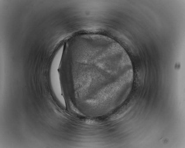 X0000100950596200807221123