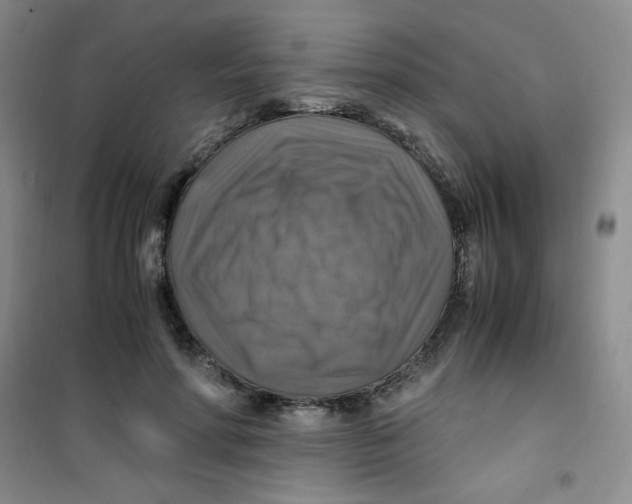 X0000100950598200807221123