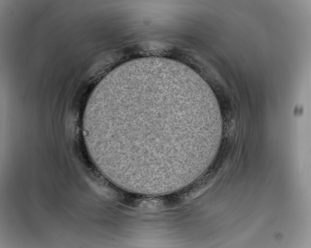 X0000100950599200807221123