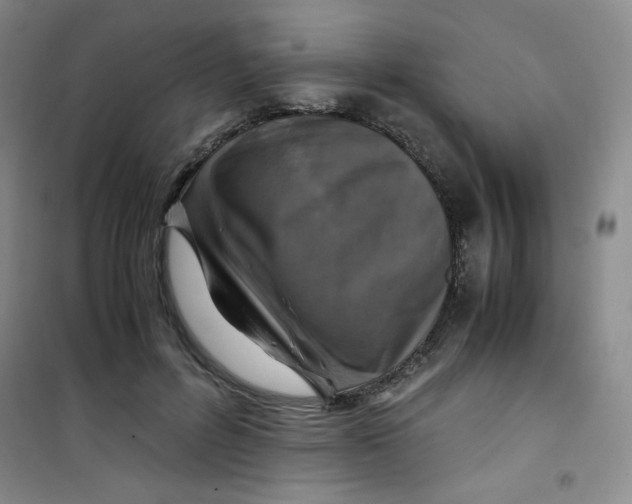 X0000100950600200807221123