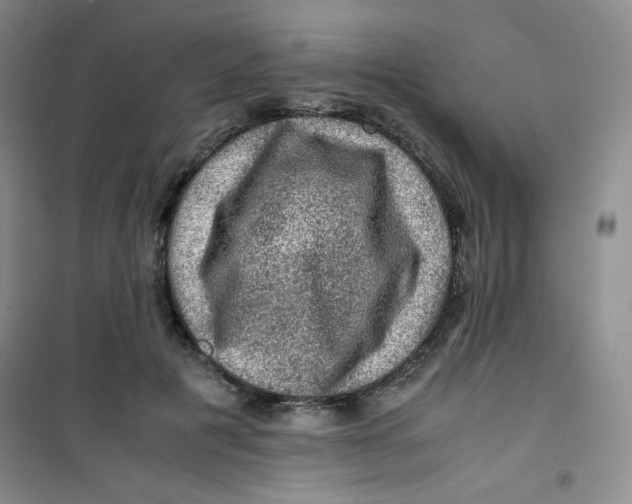 X0000100950601200807221123