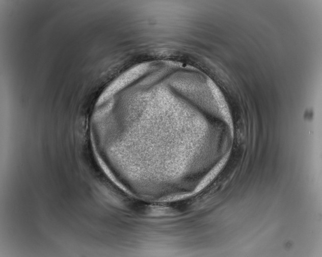 X0000100950605200807221123