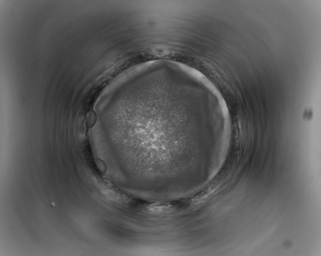 X0000100950606200807221123