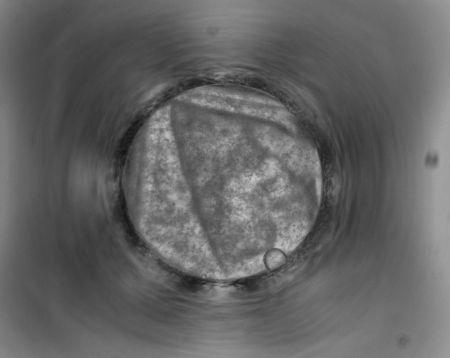 X0000100950607200807221123