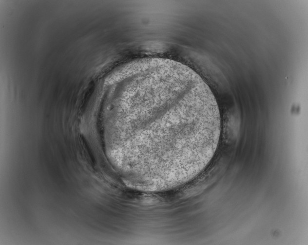 X0000100950608200807221123