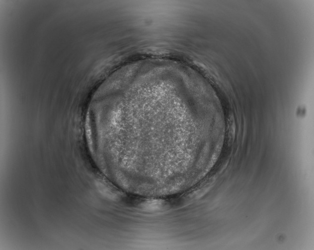 X0000100950609200807221123