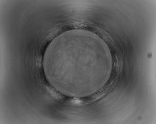 X0000100950610200807221123