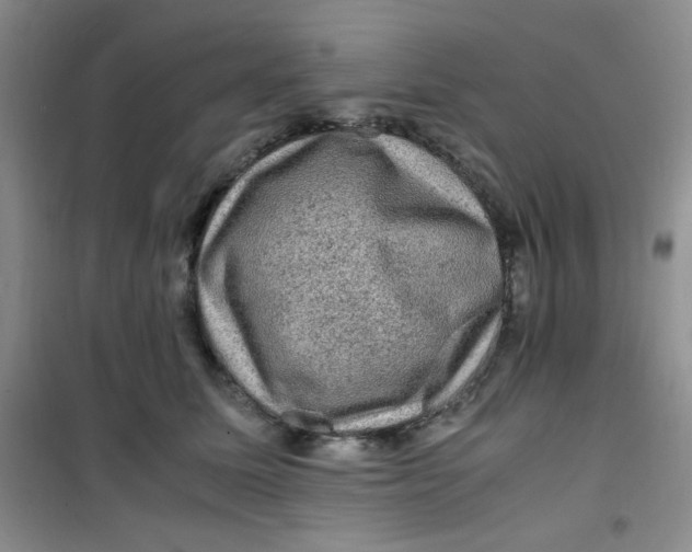 X0000100950611200807221123