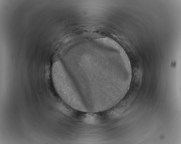 X0000100950612200807221123