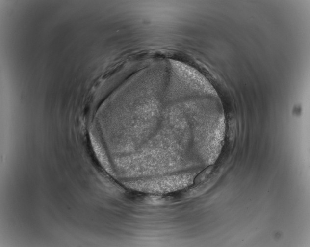 X0000100950613200807221123