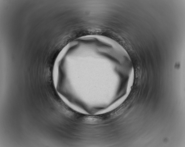 X0000100950614200807221123