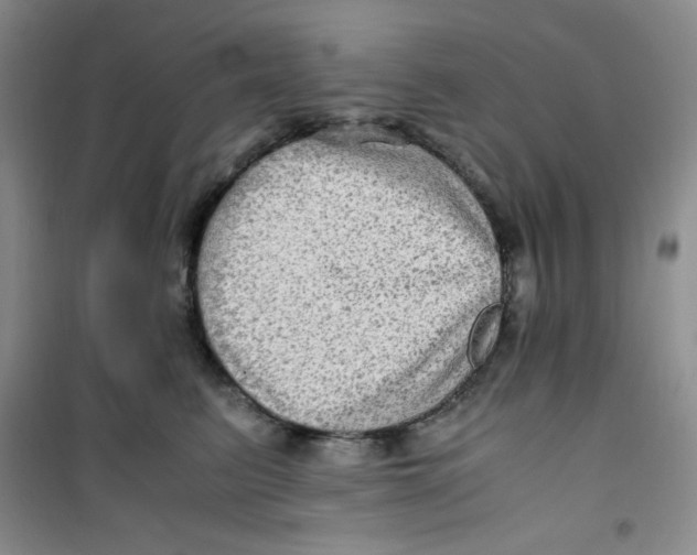 X0000100950615200807221123