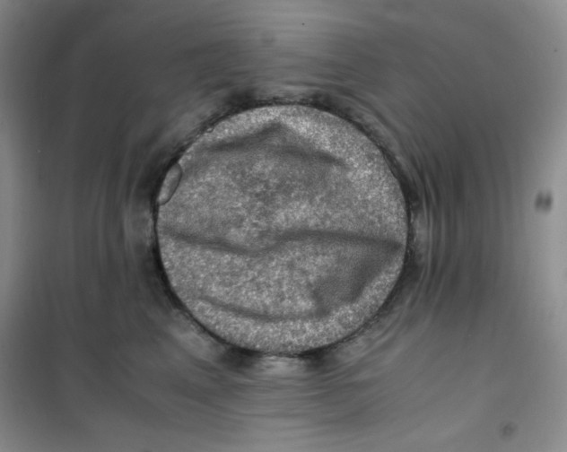 X0000100950617200807221123