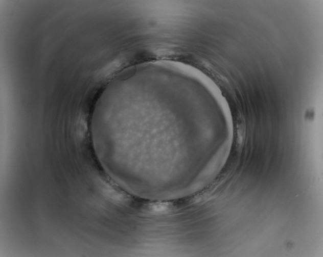 X0000100950618200807221123