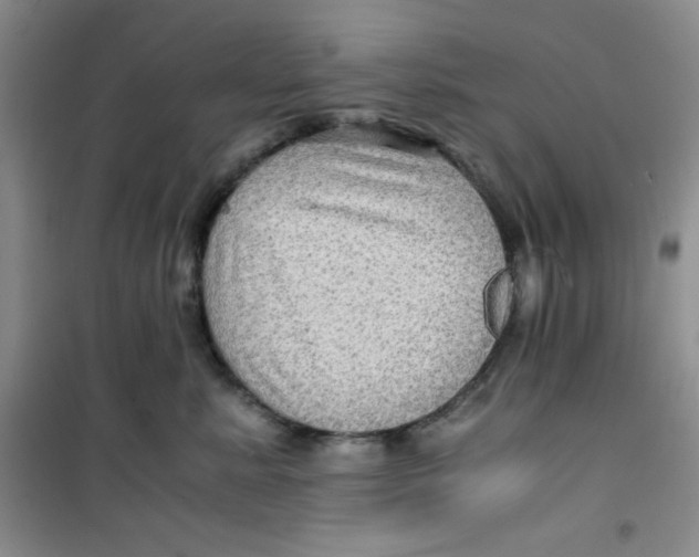 X0000100950619200807221123