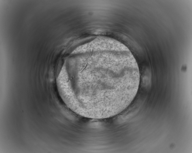 X0000100950620200807221122