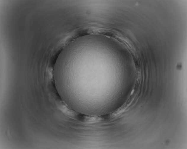 X0000100950621200807221122