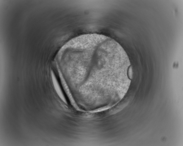 X0000100950624200807221122