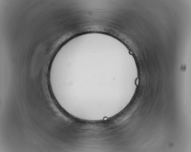 X0000100950625200807221122