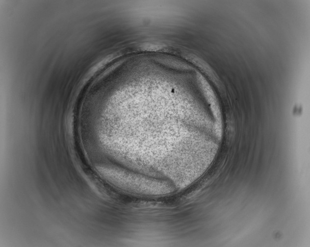 X0000100950626200807221122