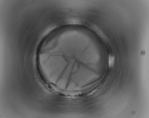 X0000100950627200807221122