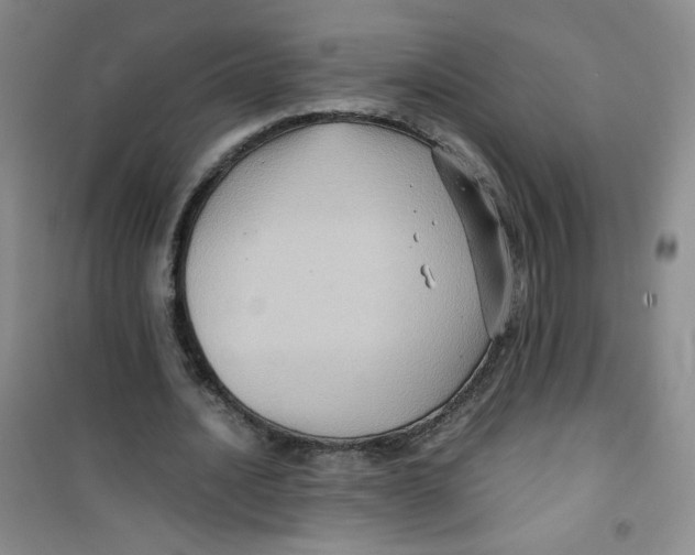 X0000100950628200807221122