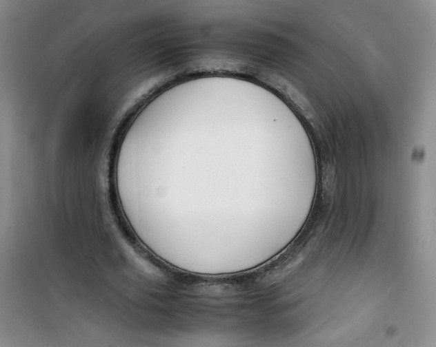 X0000100950629200807221122