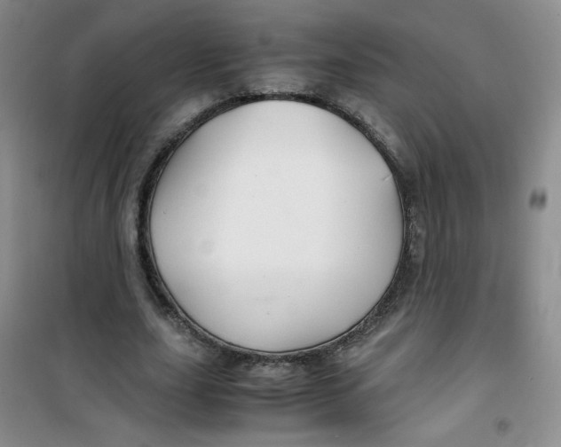 X0000100950631200807221122