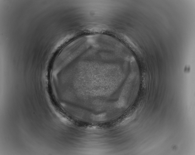 X0000100950634200807221122