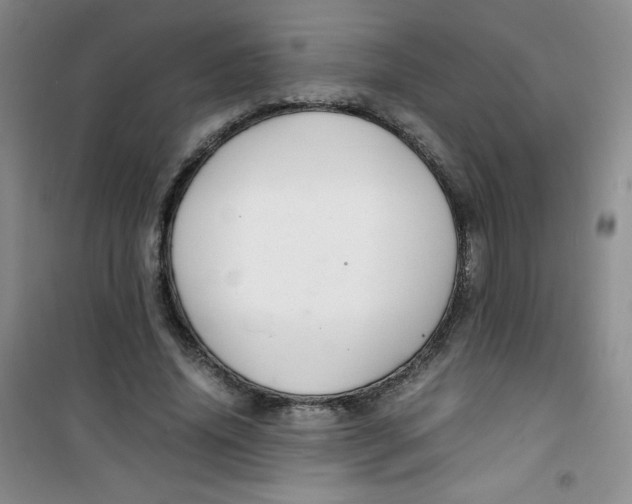 X0000100950636200807221122