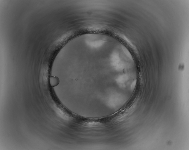 X0000100950637200807221122