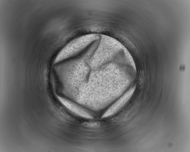 X0000100950639200807221122