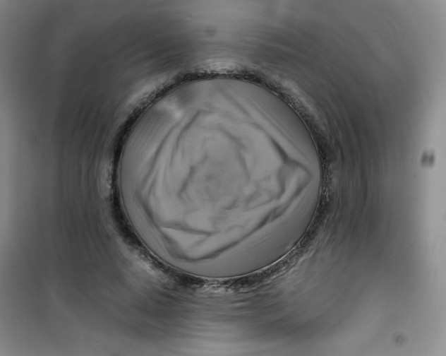 X0000100950640200807221122