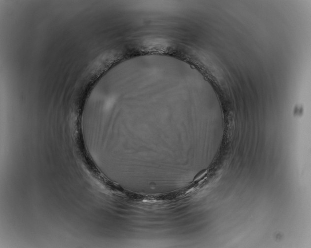 X0000100950641200807221122